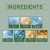 Hoegoa Hair Treatment – Scalp Nourishment & Hair Strengthening (6)