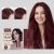 TORVIKX Hair Treatment – Volumizing (3)