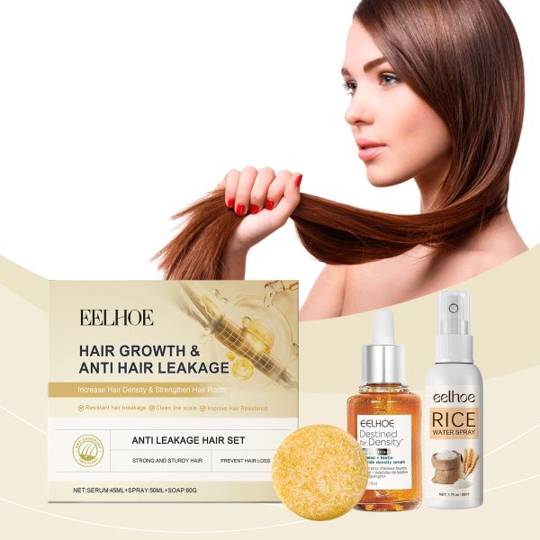 EE-A03-0240-01-002-1.jpg EELHOE Professional Hair Care Product #200