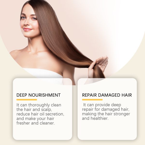 EE-A03-0240-01-003-1.jpg EELHOE Professional Hair Care Product #200