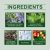 EE-A03-0257-01-1728613867012-1.jpg EELHOE Hair Treatment – Scalp Nourishment & Hair Strengthening (2) - Ingredients
