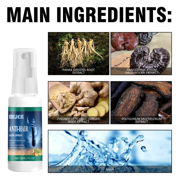 EEA03-A260-30-BU1-005.jpg EELHOE Professional Hair Care Product #243