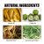 EELHOE Hair Treatment – Scalp Nourishment & Hair Strengthening (13) - Ingredients