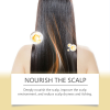 HG-A03-0212-01-1725352245015-1.png Hoegoa Professional Hair Care Product #194