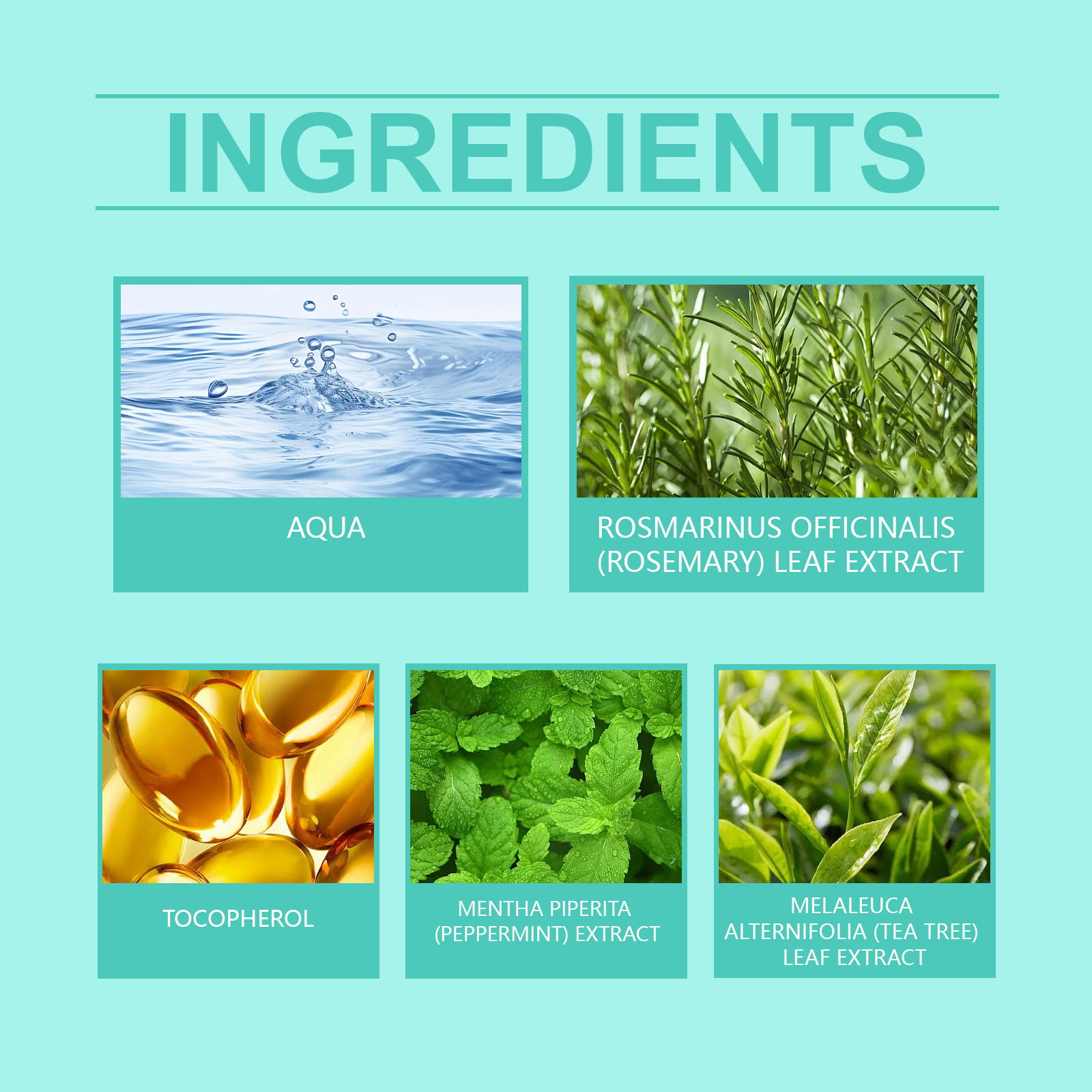 Hoegoa Conditioner hair treatment moisturizing smooth 100ml | Premium Hair Care - Image 5