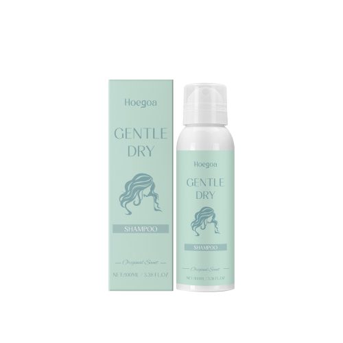 Hoegoa Hair Mousse & Gel volumizing oil control leave-in 100ml | Premium Hair Care