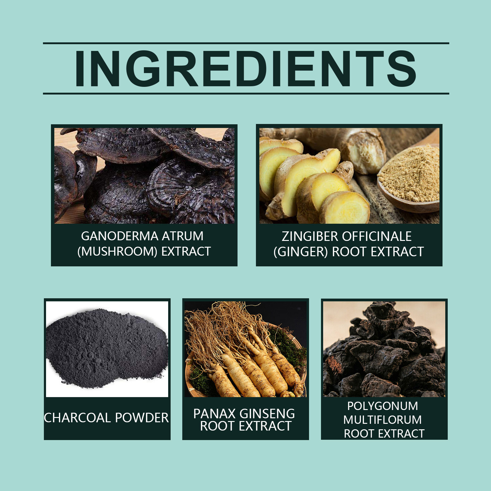 Hoegoa Gray Hair Treatment hair treatment shampoo smooth 100g | Premium Hair Care - Image 5