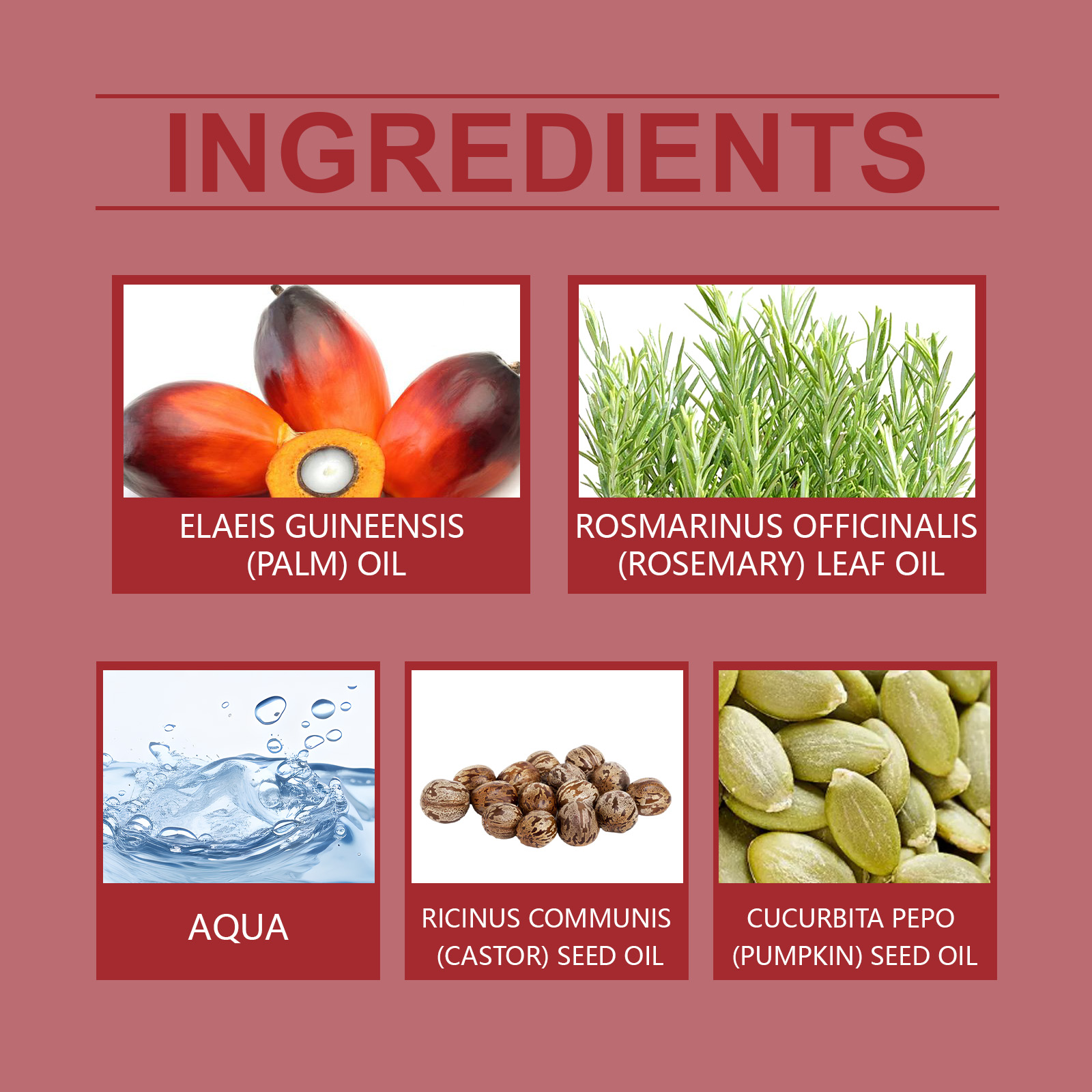 Hoegoa Hair Oils & Treatments moisturizing smooth hydrating 120g | Premium Hair Care - Image 5