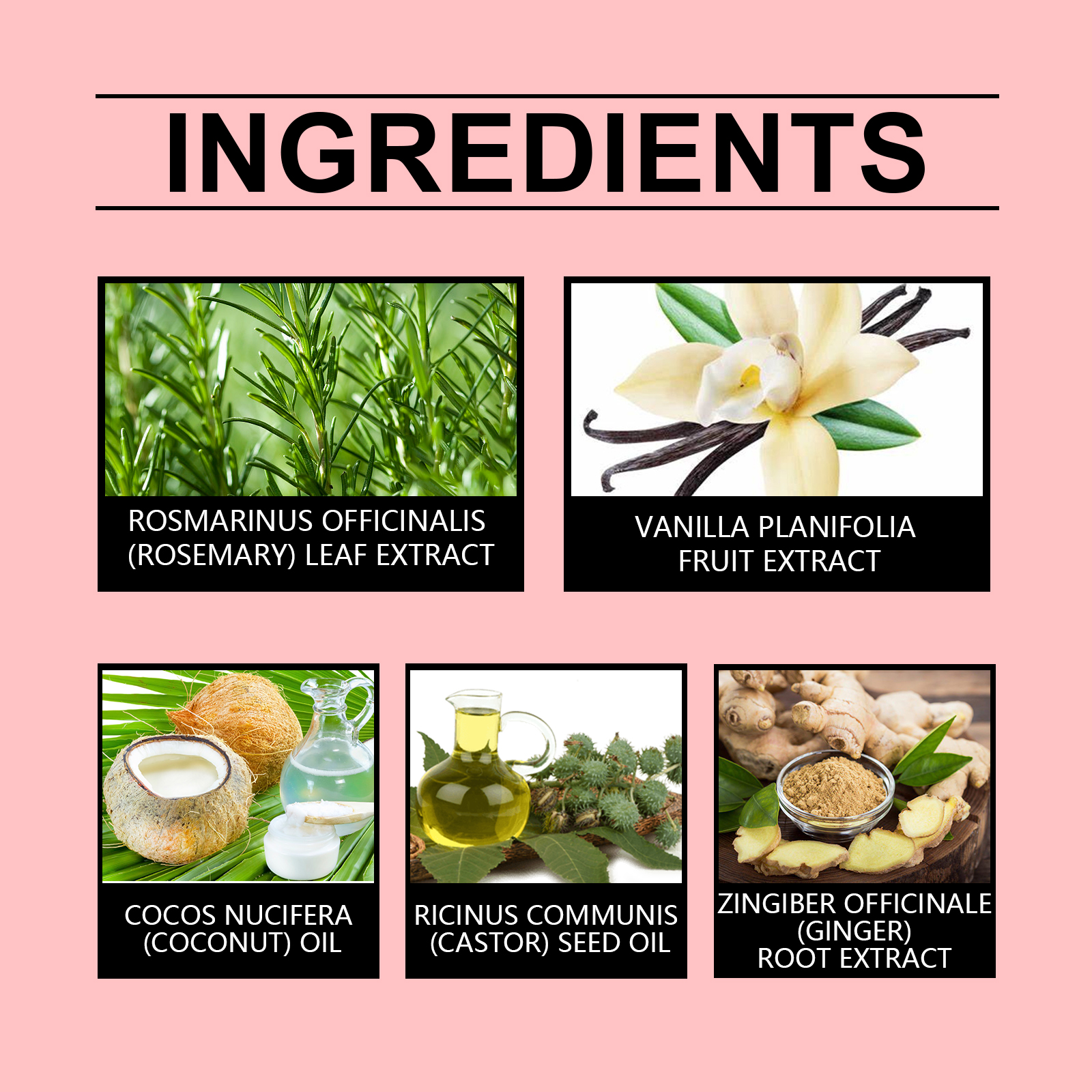 Hoegoa Shampoo Bars & Hair Soap hair treatment essence rosemary 100g | Premium Hair Care - Image 5