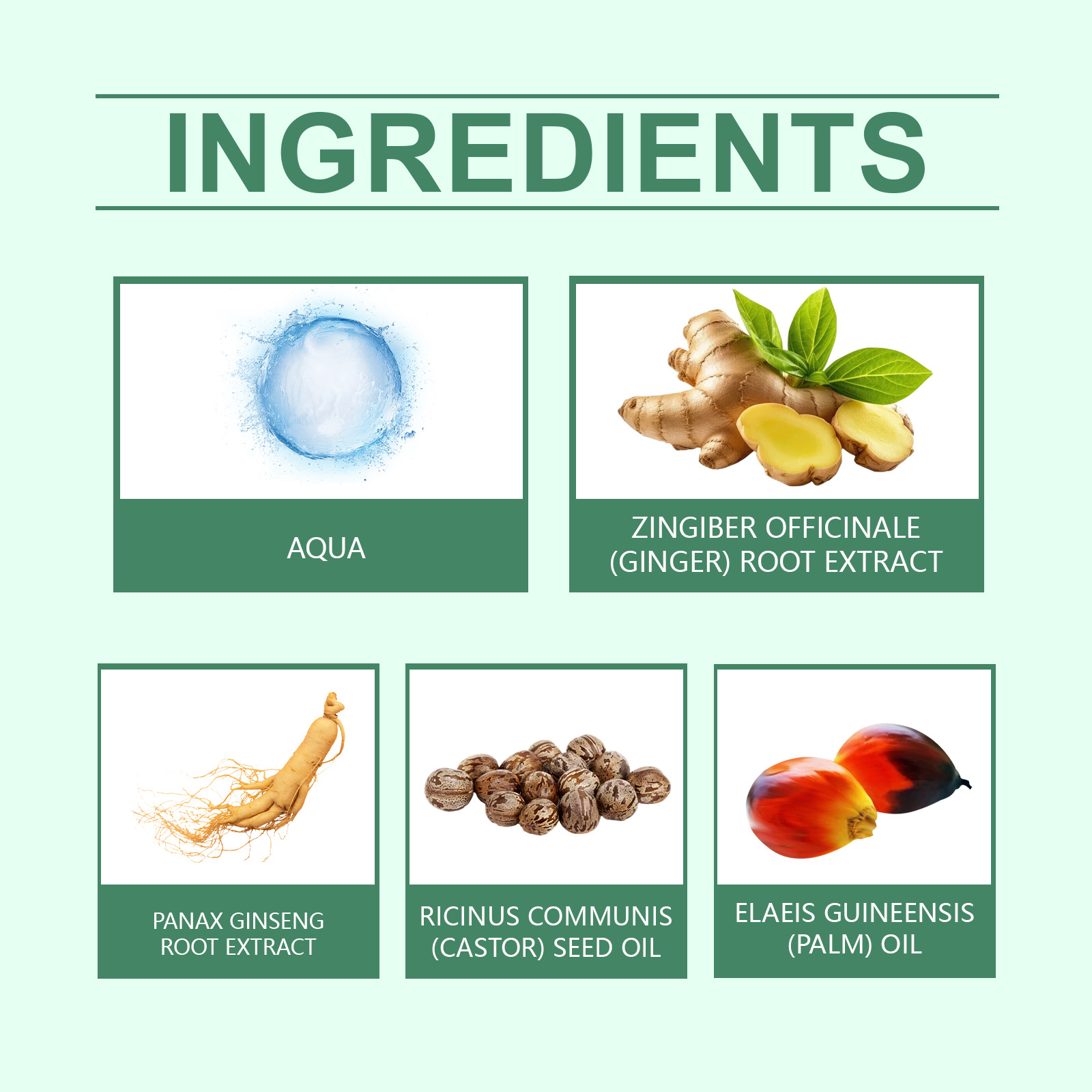 Hoegoa Hair Serums & Essences hair care hair treatment moisturizing 50ml | Premium Hair Care - Image 5