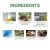 HGA03-A022-100-GN1-38298184.jpg Hoegoa Hair Treatment – Scalp Nourishment & Hair Strengthening (44) - Ingredients