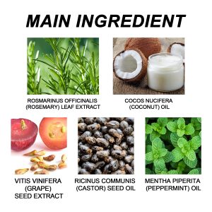 Hoegoa Hair Treatment – Scalp Nourishment & Hair Strengthening (47) - Ingredients