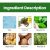 Jaysuing Hair Treatment – Moisturizing - Ingredients