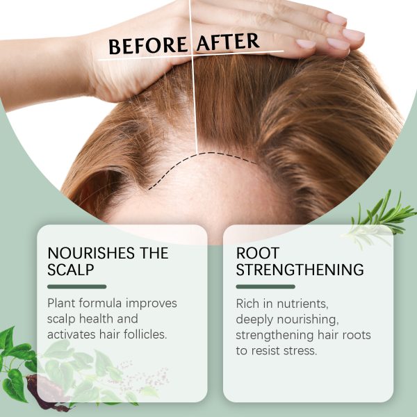 WOB01-A001-100-BN1-004.jpg WoodSleep Professional Hair Care Product #220