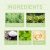 Wiyun Hair Treatment – Repair (2) - Ingredients