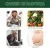 Hair Styling Treatment | EELHOE 100ml
