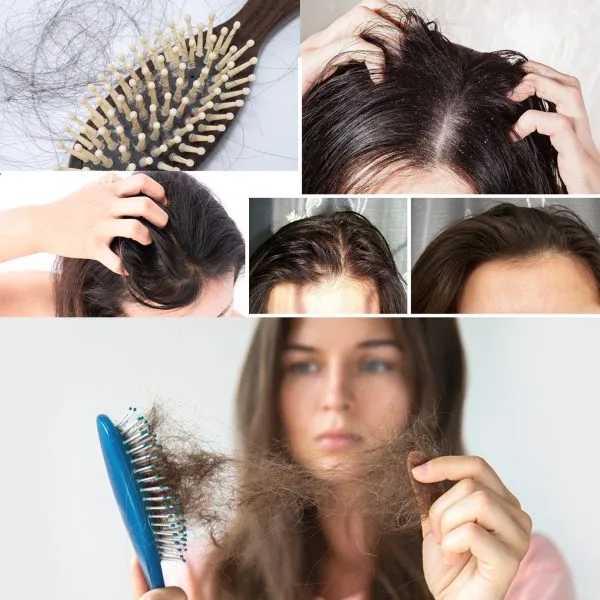 Hair Styling Treatment | EELHOE 100ml