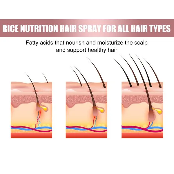 Hair Styling Treatment | EELHOE 50ml