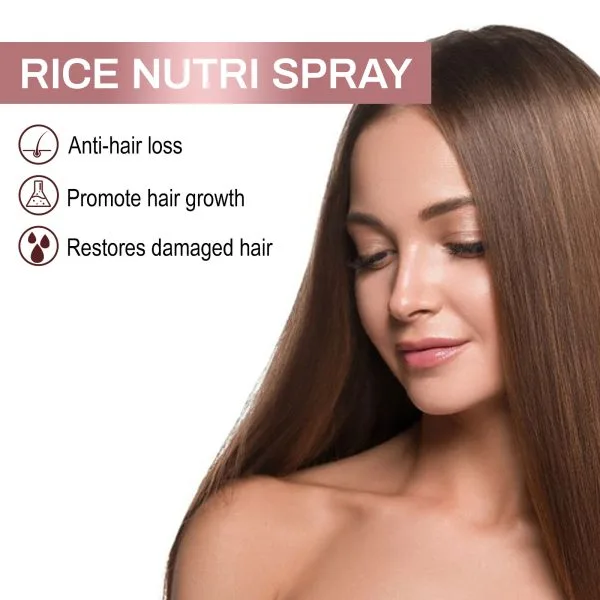 Hair Styling Treatment | EELHOE 50ml
