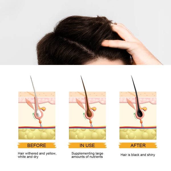 Butylene Glycol & Glycerin Scalp Treatment | AMZ 50g
