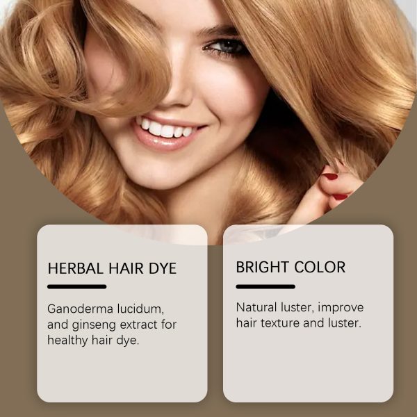 Sophora Extract Anti Hair Loss Shampoo | AMZ 200ml
