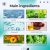 EELHOE Hair Care Product Moisturizing 18ml - product photo 5
