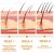 EELHOE Rice Water Oil Nourishing 30ml/ packaging and label