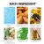 EELHOE Rosemary Hair Mask Smooth & Silky 100g - product photo 5