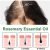 EELHOE Rosemary Oil Smooth & Silky 30ml/ packaging and label