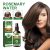 Rosemary Oil Hair Repair Treatment | EELHOE 30ml