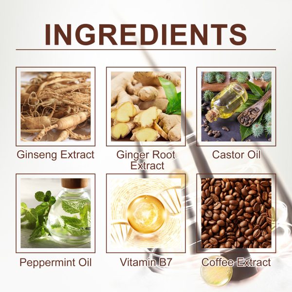 Ginseng & Castor Oil Anti Hair Loss Treatment | EELHOE 30ml