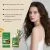 Betaine Scalp Treatment | EELHOE 474ml