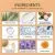 GleamXi Rice Water Serum 100g - product photo 5