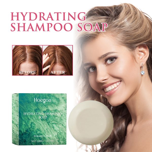 Hoegoa Hair Care Product Oil Control 100g