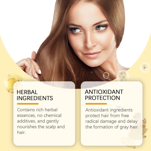 Hoegoa Hair Care Product Oil Control 50g