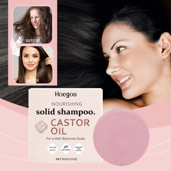 Hoegoa Hair Care Product Oil Control 91g