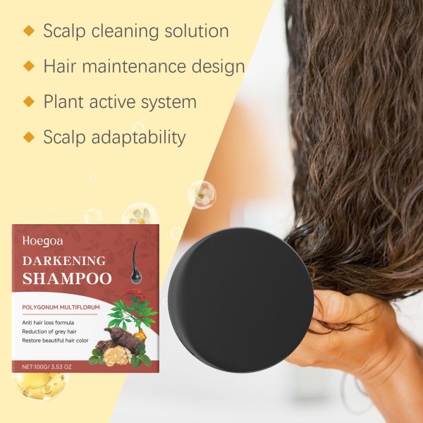 Scalp Treatment | HOEGOA 100g