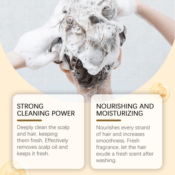 Rosemary Extract Scalp Treatment | HOEGOA 30g