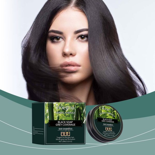 Fleeceflower Root Extract Anti Hair Loss Shampoo | HOEGOA 100g