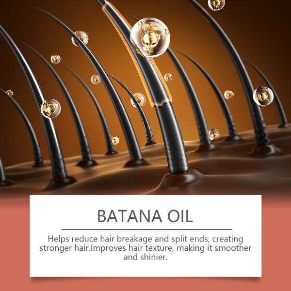 Ginger & Batana Oil Hair Repair Treatment | HOEGOA 120g