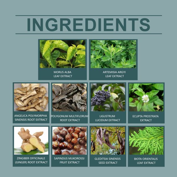 Hoegoa Hair Treatment Deep Cleansing 200g - product photo 5