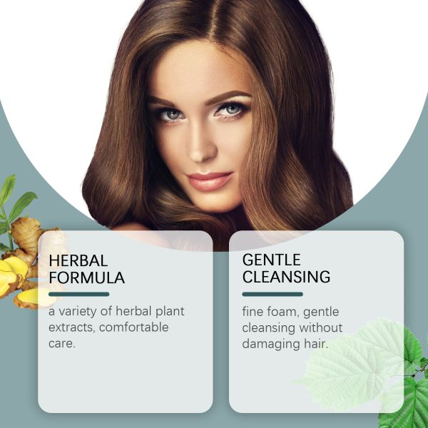 Arborvitae Leaf Extract Scalp Treatment | HOEGOA 200g