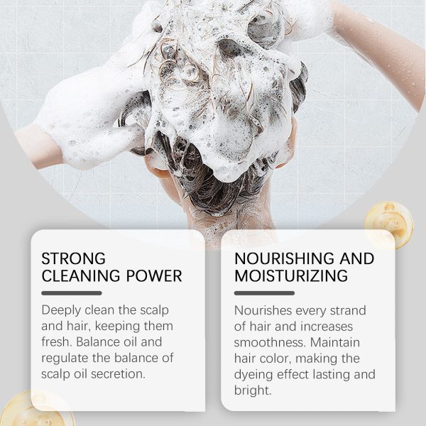 Fleeceflower Root Scalp Treatment | HOEGOA 55g
