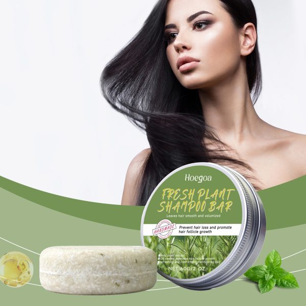 Rosemary Extract Scalp Treatment | HOEGOA 60g