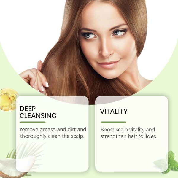 Rosemary Extract Scalp Treatment | HOEGOA 60g