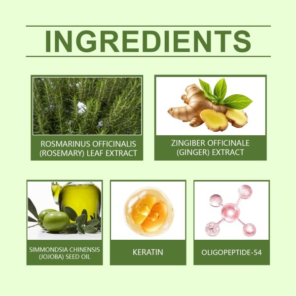 Hoegoa Rosemary Serum Nourishing 1set - product photo 5