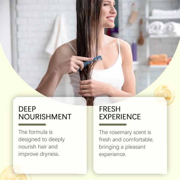 Hoegoa Rosemary Shampoo Oil Control 1set - product photo 4