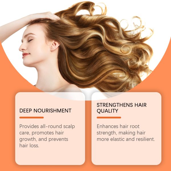 Fleeceflower Root Scalp Treatment | HOEGOA 100g