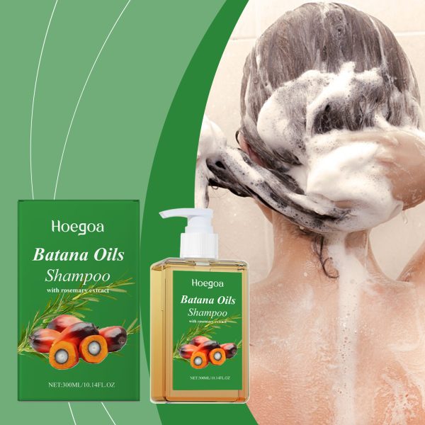 Rosemary Extract Anti Hair Loss Shampoo | HOEGOA 300ml