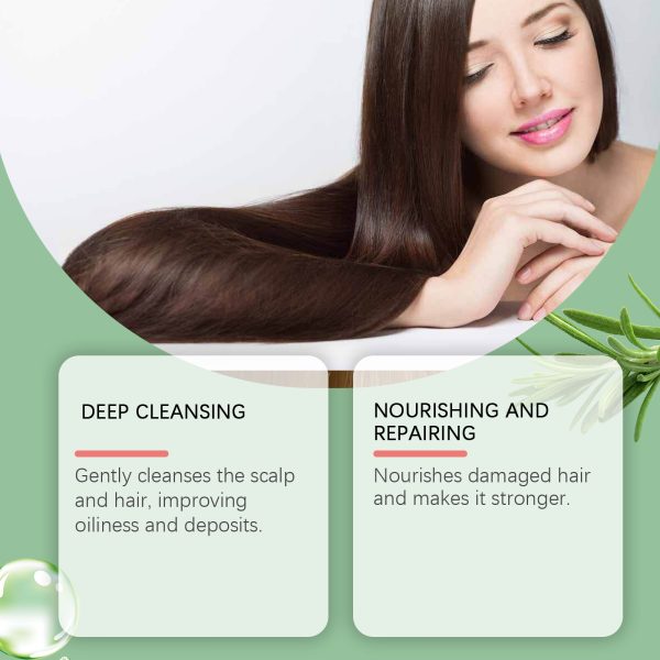 Rosemary Extract Anti Hair Loss Shampoo | HOEGOA 300ml